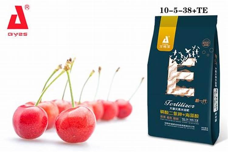 杜鹃花适合施哪种肥 杜鹃花施什么肥料好