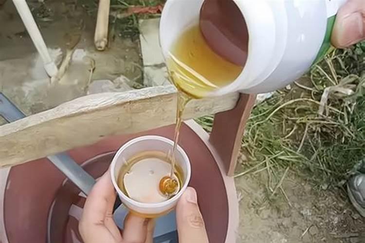 草莓膨果期用什么肥