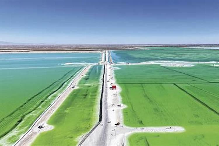 茶叶什么时候施肥最好 茶叶什么时间施肥最合适呢