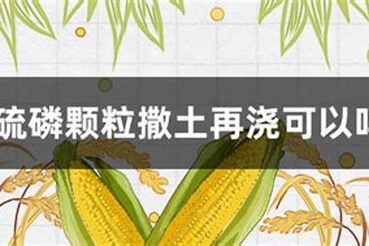 大蒜浇水可以加上辛硫磷肥料吗？