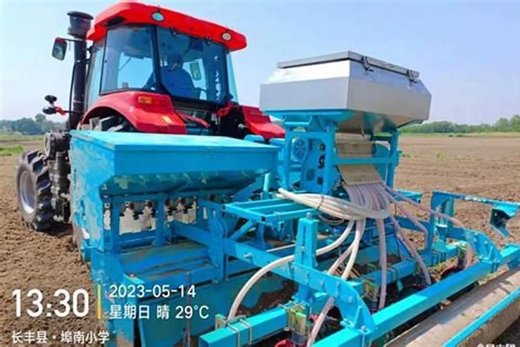 种谷子用什么肥料好