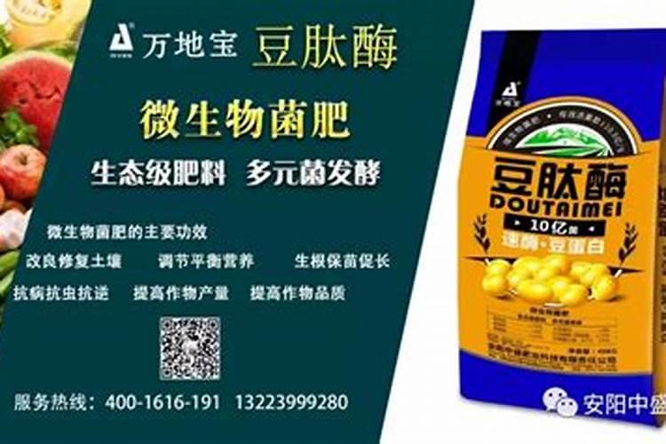 儿菜多久施一次肥