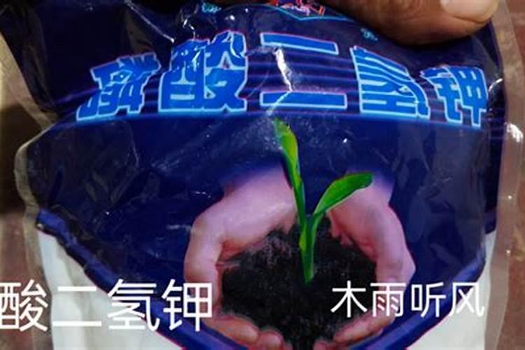 为什么要在高温的时候,使用磷酸二氢钾,可以有效