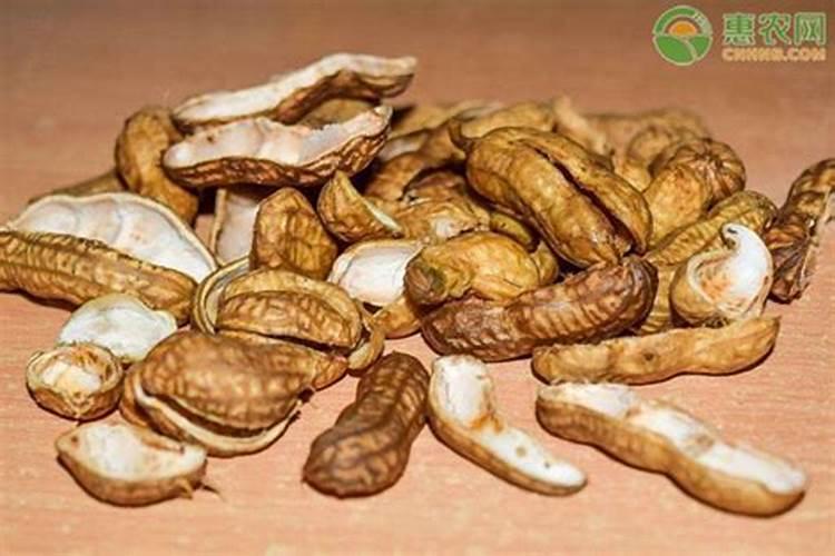 7种自制花肥方法