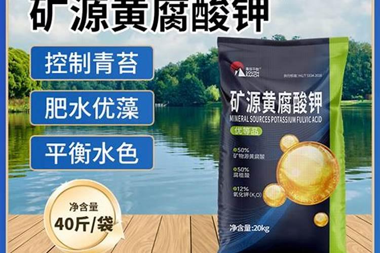 澳柑多少钱一斤 和沃柑是一样吗及有什么区别