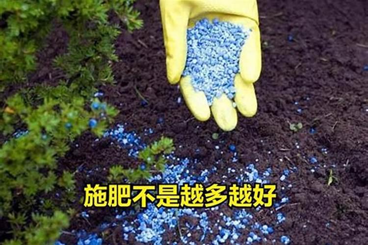 鱼蛋肥是什么肥料