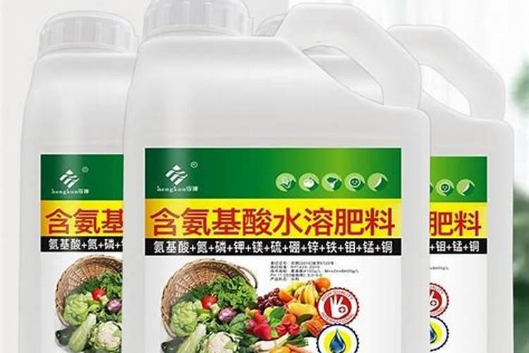 硼肥在柑橘树上的最佳使用时期