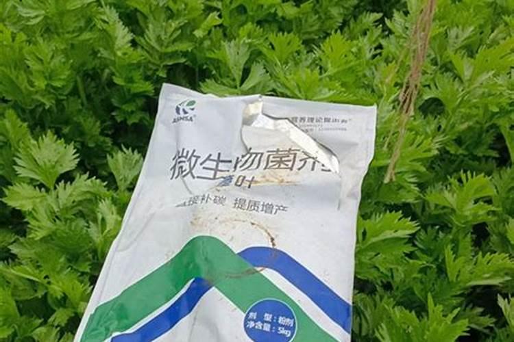 磷酸二氢钾适合浇什么花