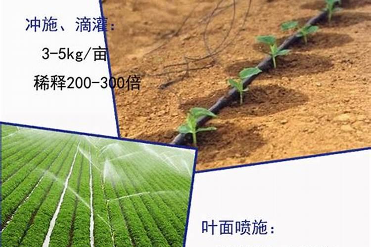 磷酸二氢钾果树怎么用