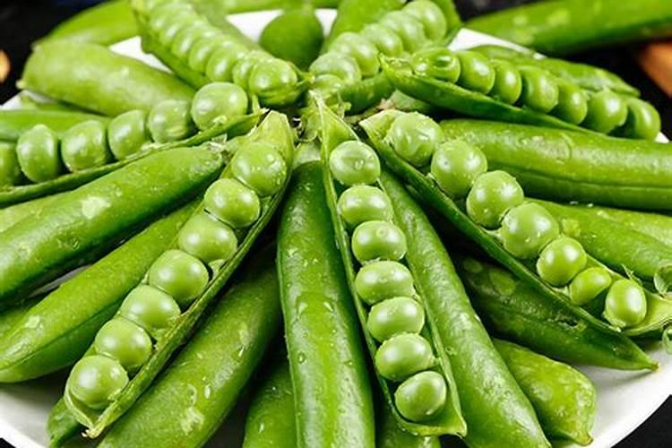 生根粉可以兑水直接浇花吗