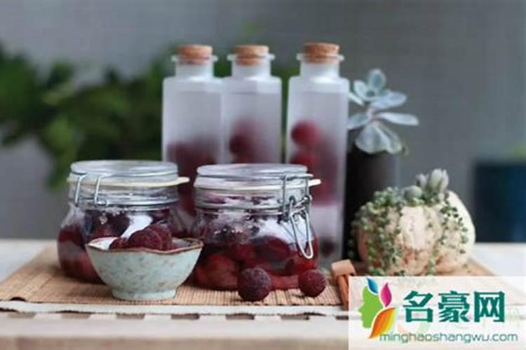杨梅怎么种植