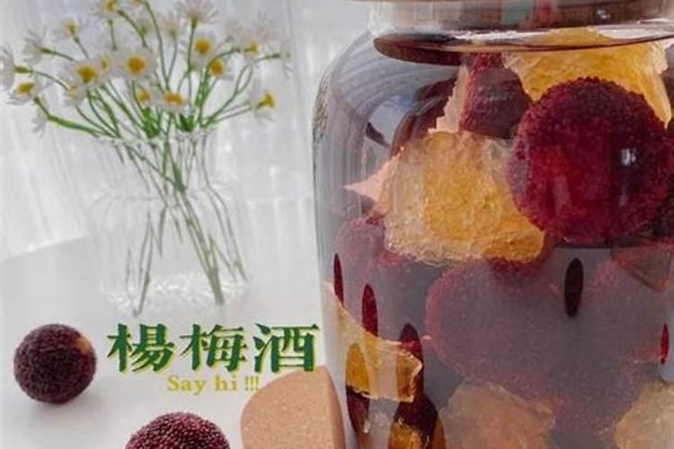 泡酒后的杨梅可以养花吗