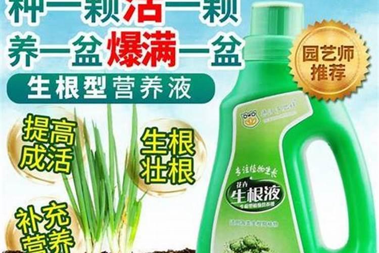 苹果几月份打硼好