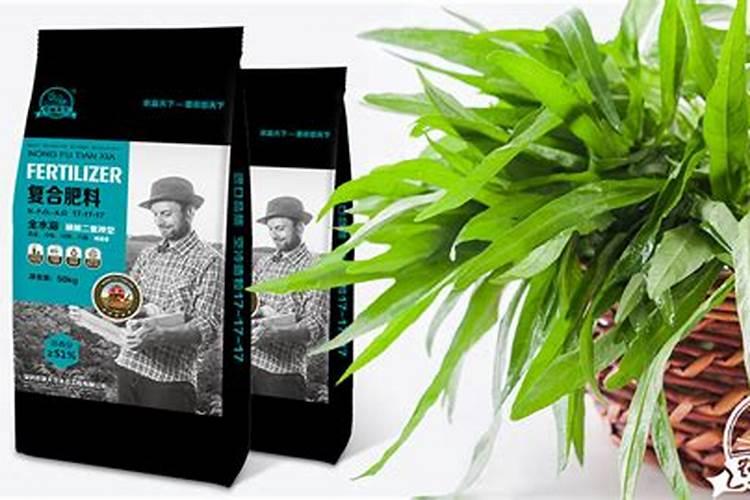 小麦灌浆期打什么叶面肥