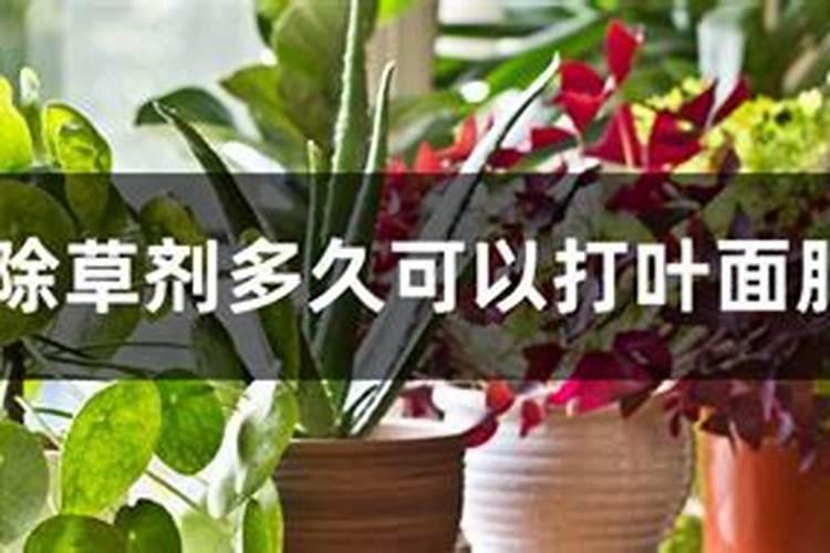 韭菜越冬施肥方法 有哪些给韭菜施肥的技巧