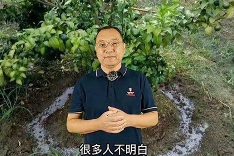 盆栽辣椒如何施肥浇水