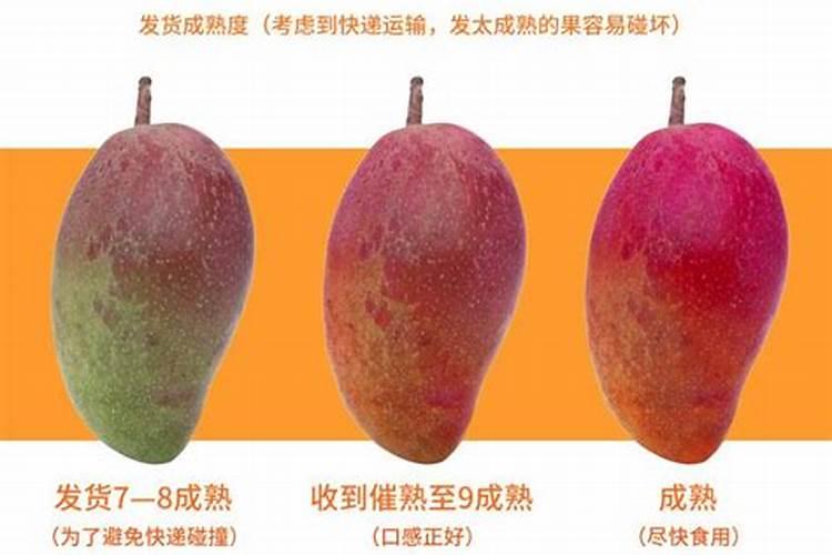 芒果施什么肥