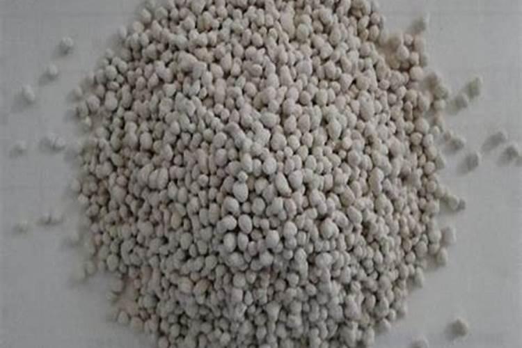 爬藤月季种植用肥知识技巧 爬藤月季可以盆栽吗