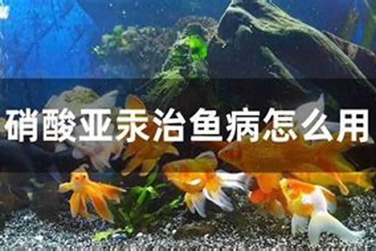 油茶树要高产喷施磷酸二氢钾和硼应在什么节气？