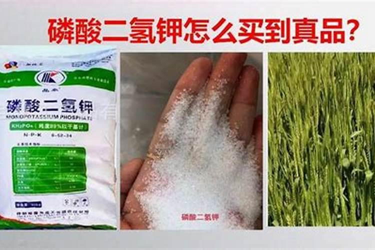 除草剂加乙烯利能增效吗