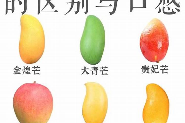 夏黑葡萄转色后期用什么肥料好