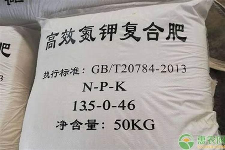 杜鹃花底肥放什么肥好