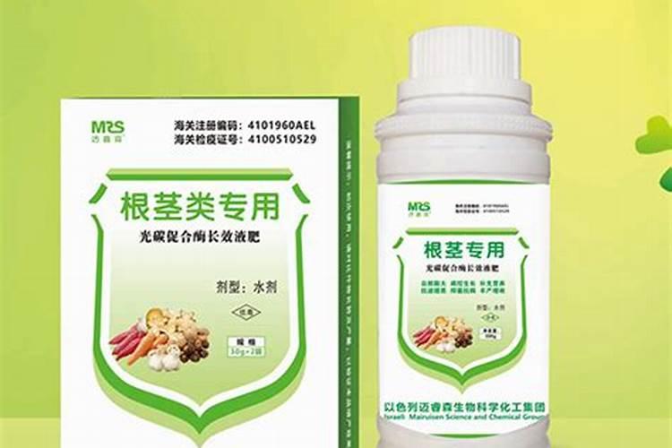 无花果施肥的正确方法