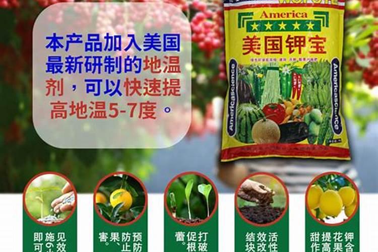 怎样施肥山药才大