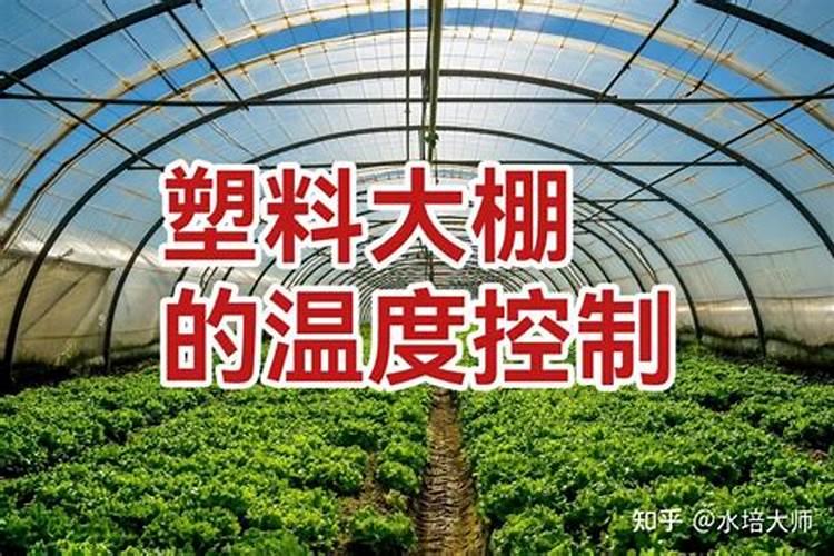 在草莓开花时施肥会导致草莓畸形吗？？？