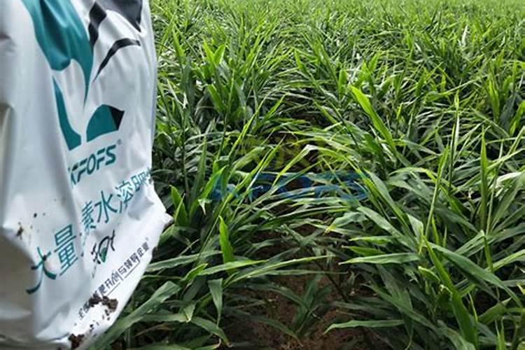 白灰中氧化钙氧化镁标准含量是多少