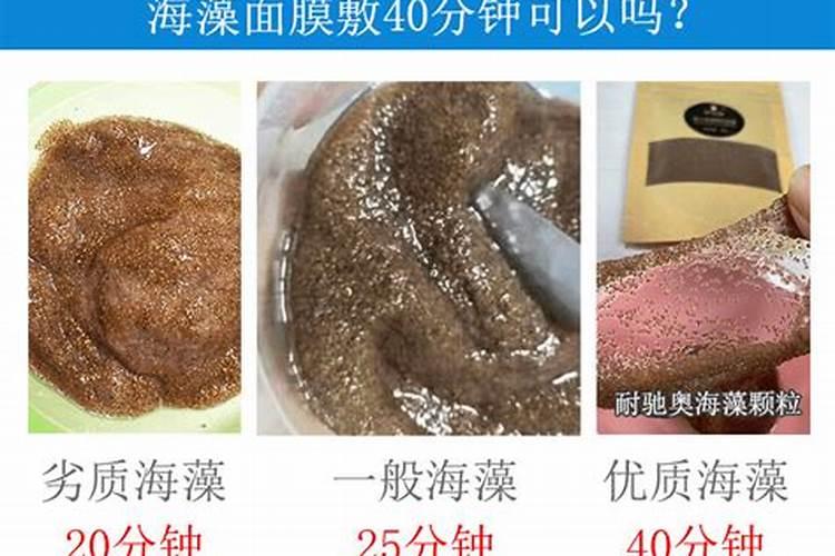 蛋白粉哪个牌子好？求推荐