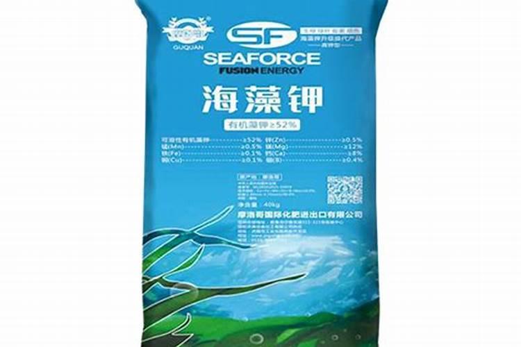 凤仙花往哪里浇水