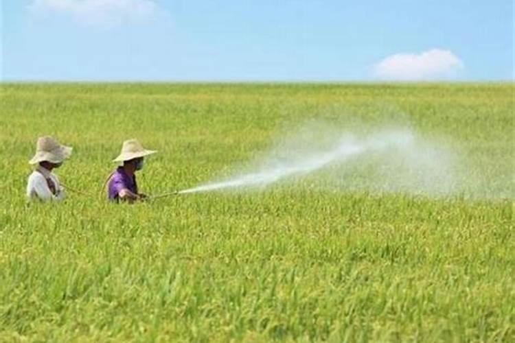 糖醇钙与螯合钙区别