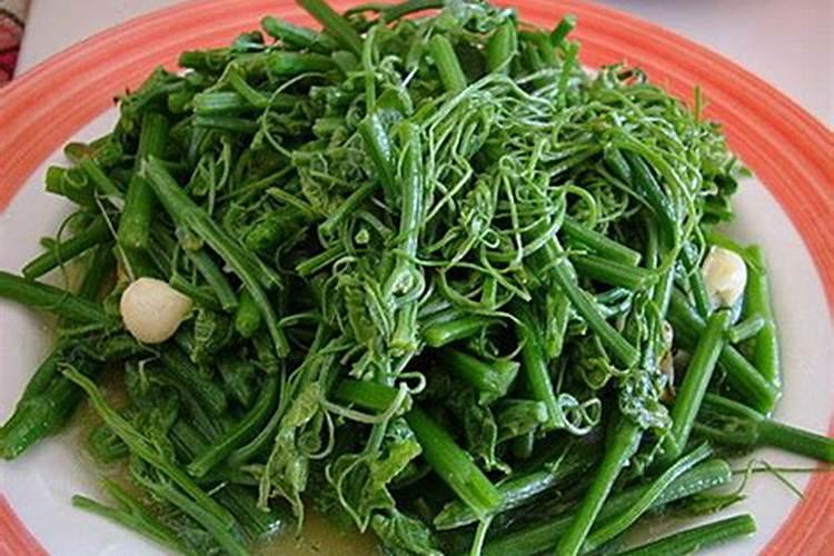 4月适合种什么蔬菜