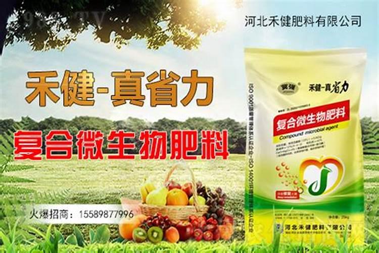 种植茶叶赚钱吗 种植成本利润及前景分析