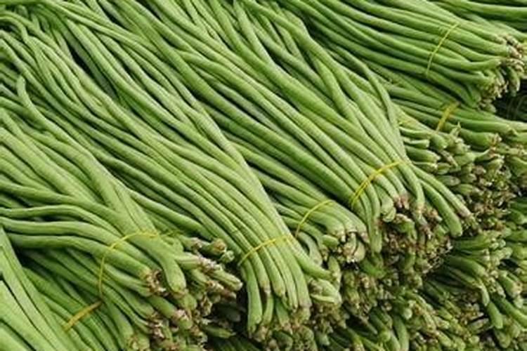 大棚底肥一般用什么肥料？