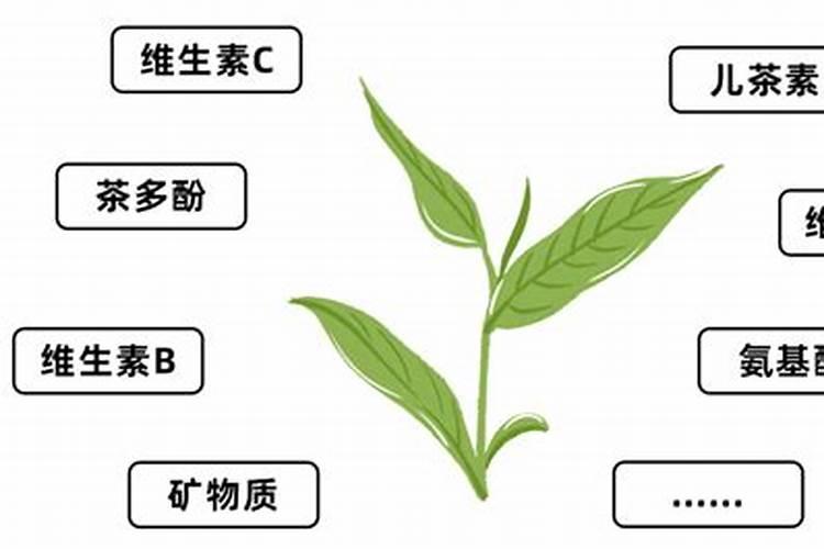 李子花是什么颜色的