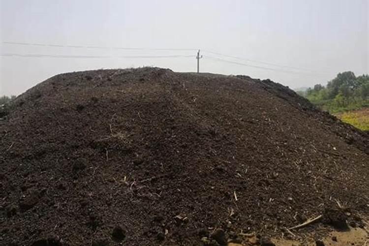 葡萄怎么养葡萄如何养