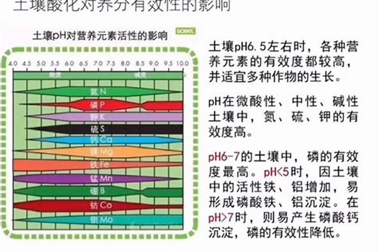 如何根据土壤酸碱度选择化肥？