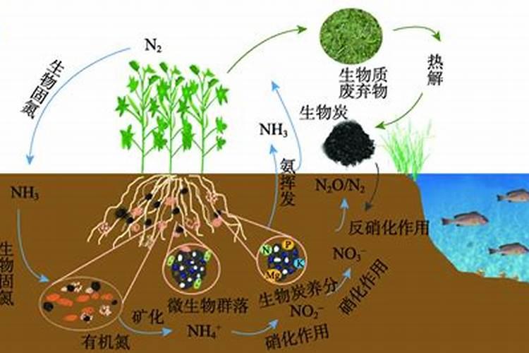 雨水臭了还能浇花吗