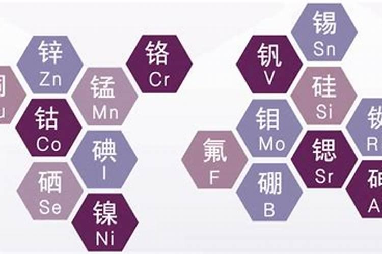 大量元素中量元素微量元素的区别