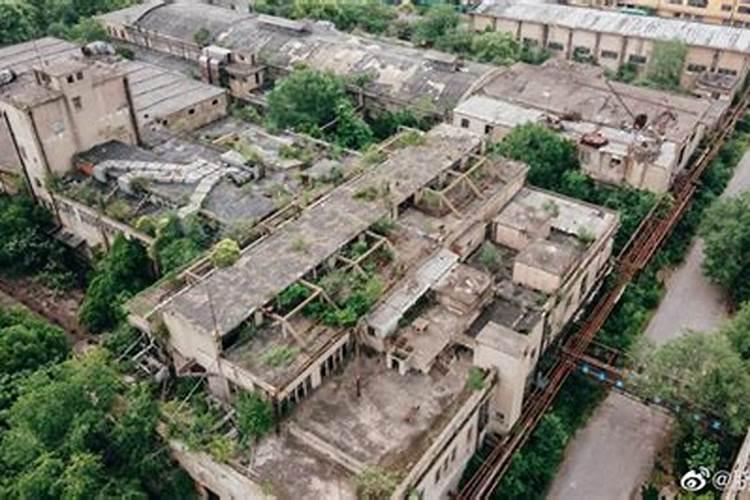 金边瑞香什么时候种植最合适,安徽省淮南市什么季节适合栽种瑞香？