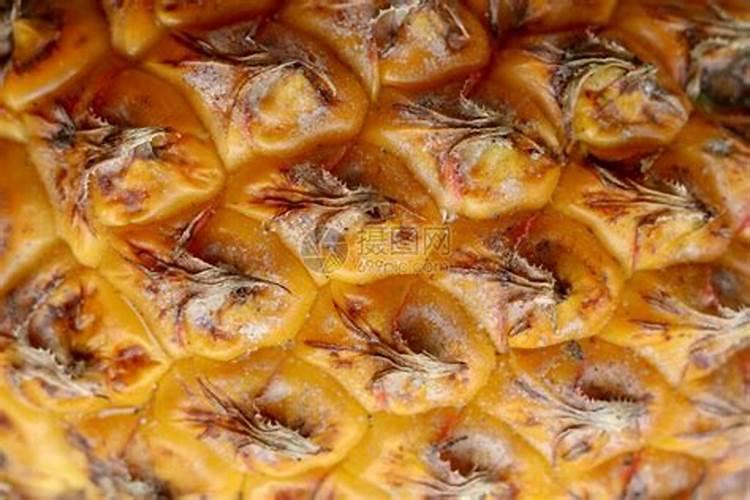 种植大白菜需要施肥几次？要如何正确的施肥？