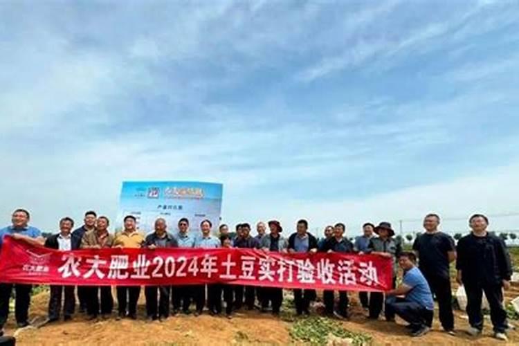 稻壳可以直接方放花盆里做花肥吗