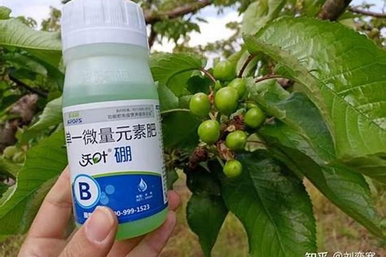 硼肥有哪些作用 硼肥的9大施用误区