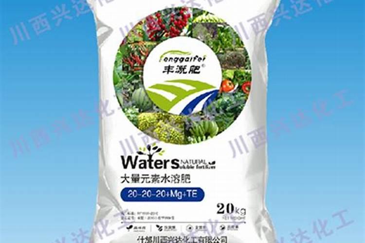 木槿叶子上有结晶是啥？