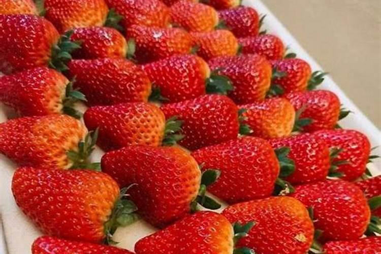 无锡力马化工机械有限公司公司历史