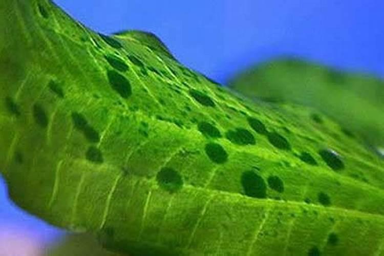 车用尿素上冻怎么办 尿素冻了怎么办小妙招