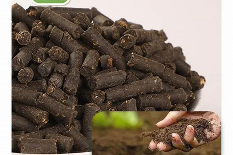 华宇晨为什么不娶张碧晨