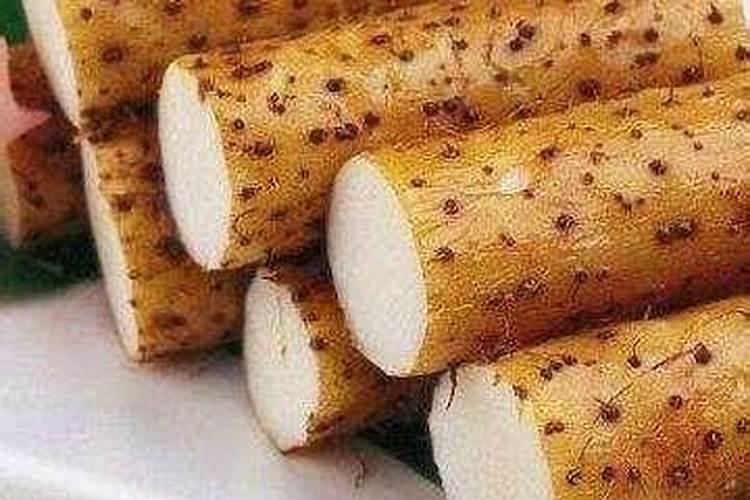 黄瓜浇什么肥料最好